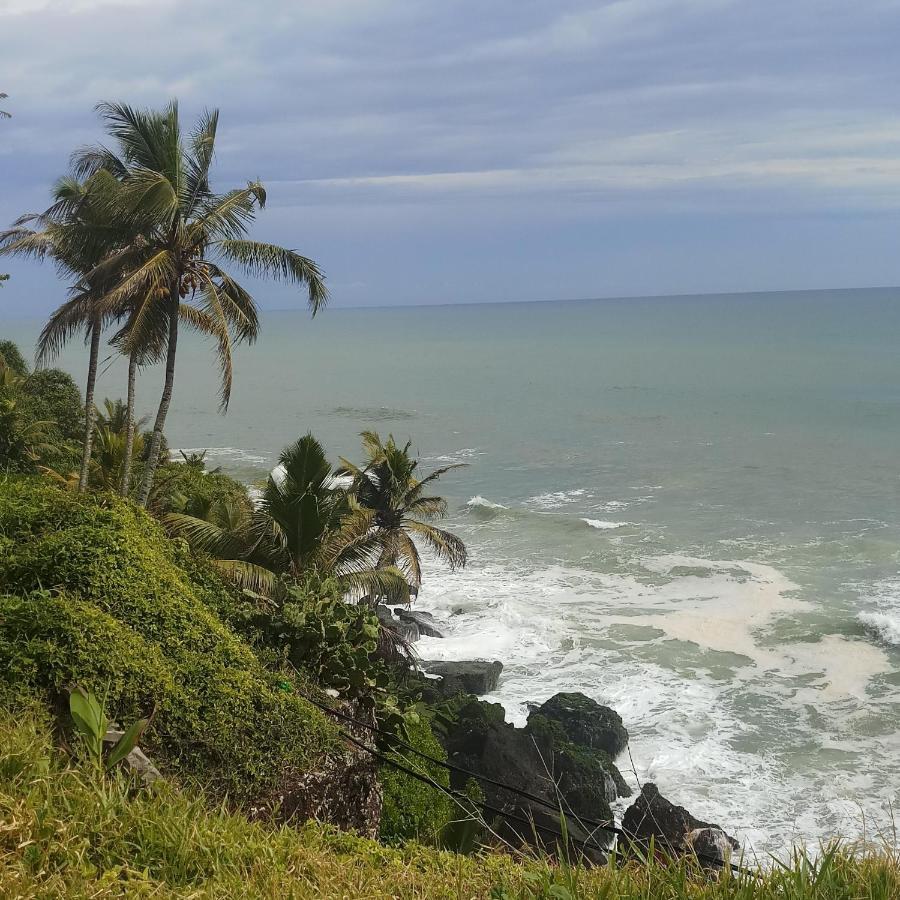 Oceanic Beach Residency Varkala Kültér fotó